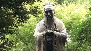 あまり手入れはされていない様子。