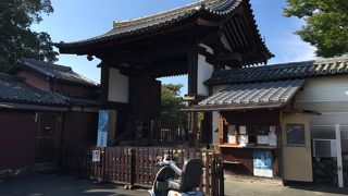 こちらの萩は見事でした ♪