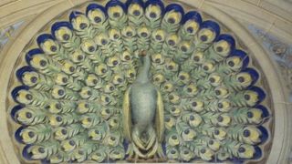 今のうちに見に行ってほしい