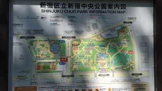 都庁の奥側です