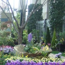 様々な花が綺麗に整っています。