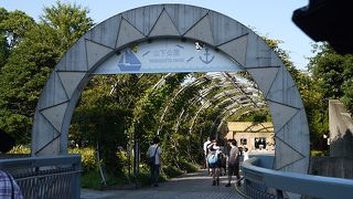 港と並行する公園