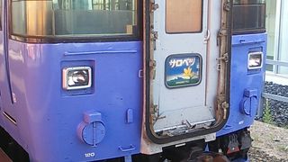 札幌と稚内を１往復する３両編成の特急列車