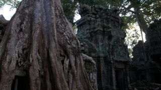 夕方に行くのがベスト！