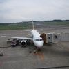 成田からセブパシのセブ直行便に初搭乗しました！