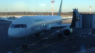 ロシア機もたくさん停まっています。