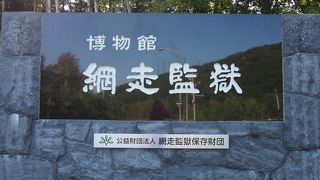 見応えあります