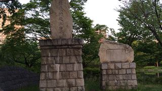 近くに藤棚がある