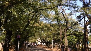 結構広い都営の墓地です