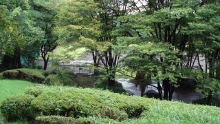 緑に覆われて海も見えず鬱蒼とした不思議な公園です～