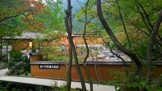 お猿さんになった気分