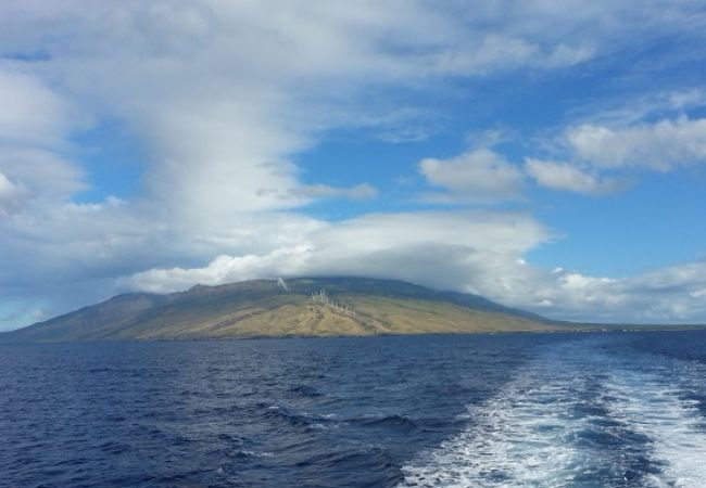 透明度が高い海でシュノーケル