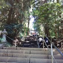 駐車場から、かなりの石段を登ります。