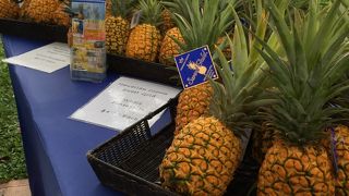 ずいぶん割高になってきました