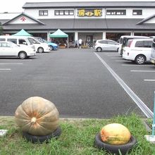 駐車場越しの駅 (店)
