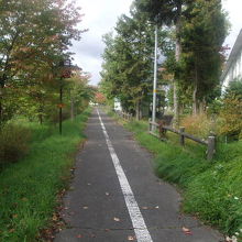 徒歩や自転車でのアクセスはやはり自転車道経由がお勧めです