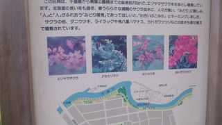 千歳駅から徒歩でのアクセス時はルート選択に注意が必要です