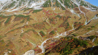そろそろ秋の気配の室堂