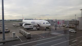 やはり大きいです