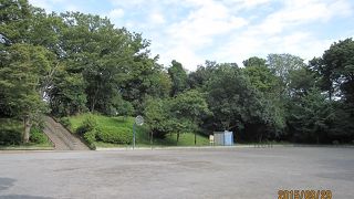 住民の世代交代により、若い人々が増え、公園に活気が戻ってきました。