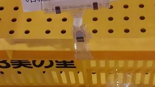 地元産のお野菜イイよぉ～