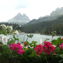 レストランの窓辺の花越しに湖と山を眺める