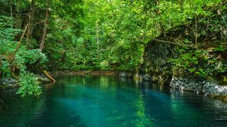 まるでジブリの世界！