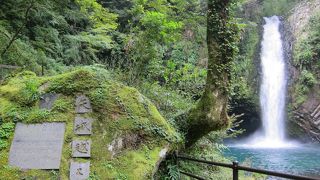 滝の近くにマス釣り場があります
