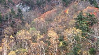 奥入瀬渓流　紅葉クルーズ！