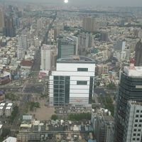 昼の部屋からの風景。