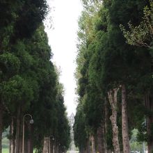 修道院までの道