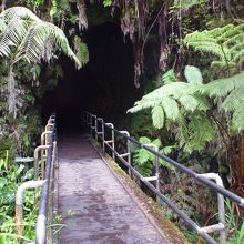 入口。あ〜ワクワクする。