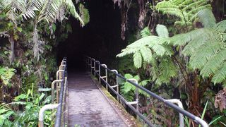 何度来てもワクワクする。