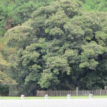 かつての夢の跡。