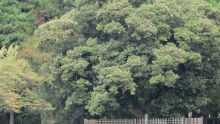 久坂玄瑞が自刃した場所。