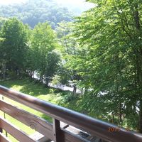  窓から緑が一杯広がる