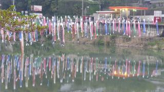 川に泳ぐこいのぼり