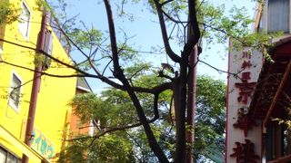 お店選びにドキドキ