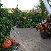 ハロウィンの飾り付け