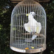 久しぶりの動物園は楽しかったです