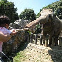 えさあげタイム
