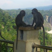 パノラマ公園から渓谷を望む