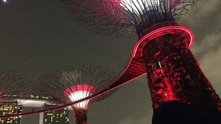 SG50バージョンでした