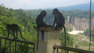 市街から間近の絶景