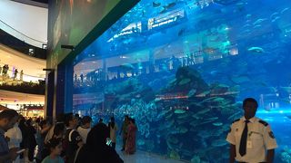 世界最大の水槽