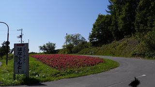 規模は小さいがほんの少しきれい