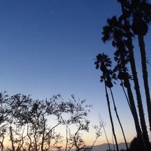 夜も素敵です。