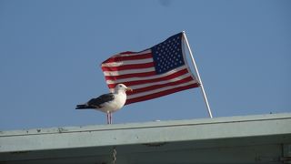 ロマンチックですよね。