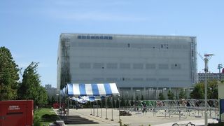 フットサルのFリーグ、すみだフウガのホームの場所でもあります。