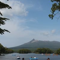 白いスワンボートもスイスイと・・